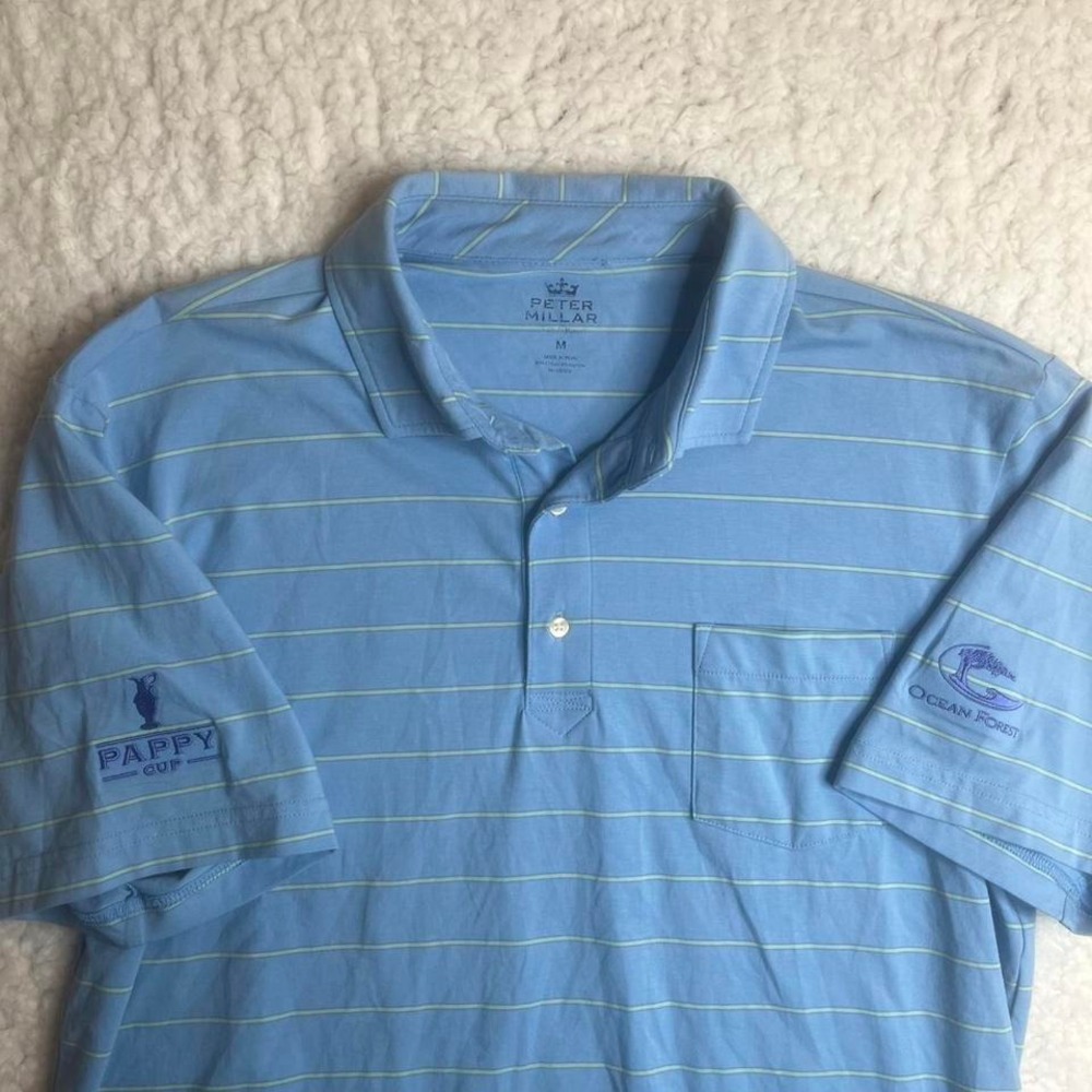 Peter millar seaside mens blue‎ striped ocean forest pappy cup polo